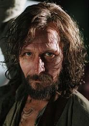 sirius sirius black